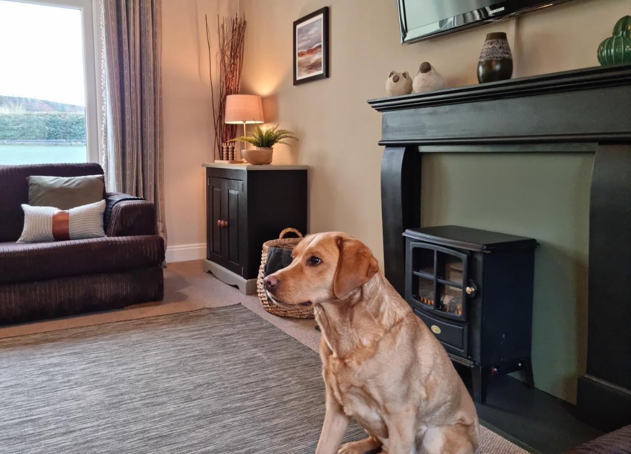 Willow Lodge, Wolfscastle Haverfordwest Luaran gambar