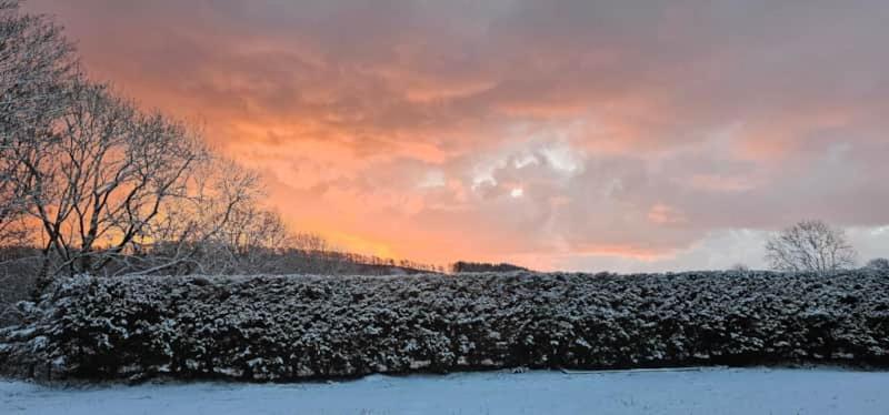 Willow Lodge, Wolfscastle Haverfordwest Luaran gambar